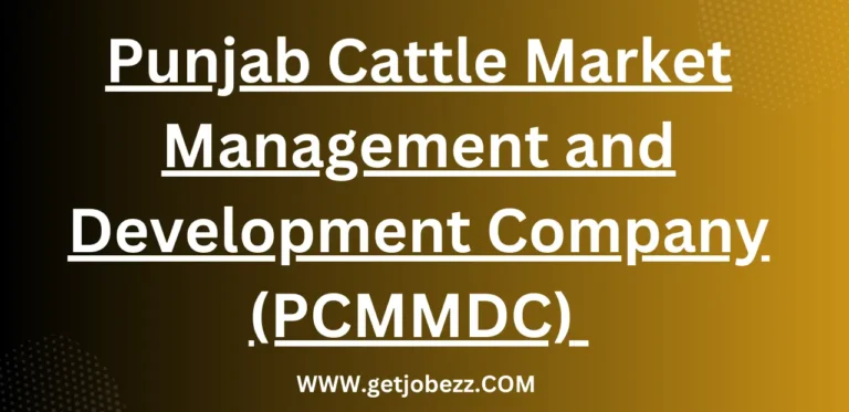 Punjab Cattle Market Management and Development Company (PCMMDC) Jobs Opportunities